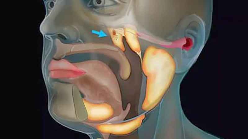 Scientists did wonders! New organ found in human body