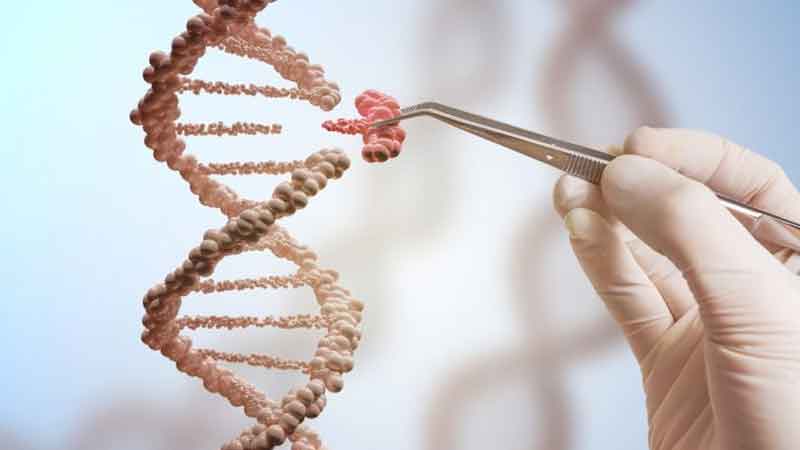 Genetic engineers claim - by 2045 humans will die only due to accidents death will be voluntary treatment of old age will also be possible.