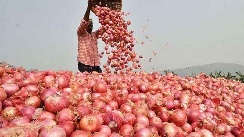 Onion in Chennai costing 73 rupees most expensive in metros