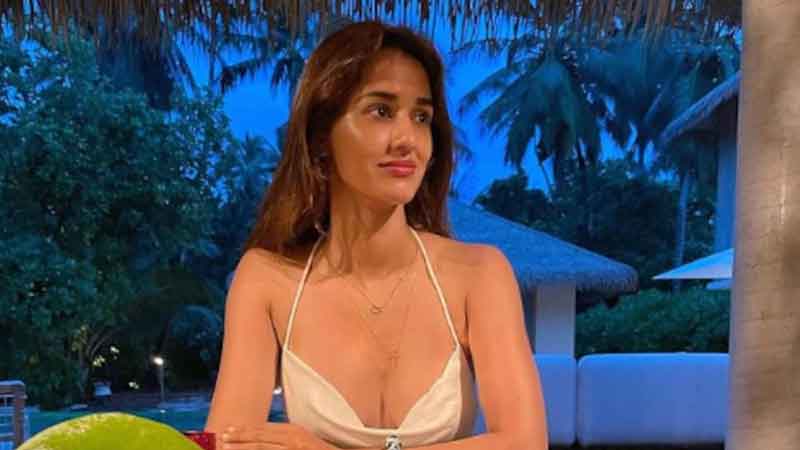 Disha Patani shared photo on Instagram Tiger Shroff's sister Krishna reacted