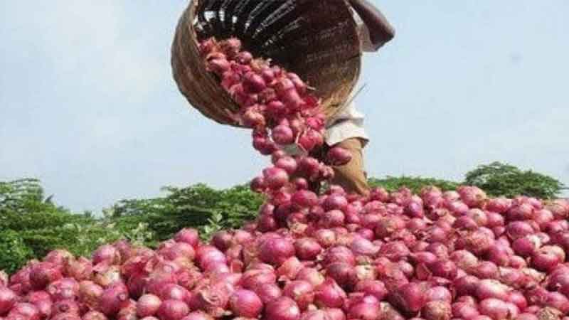 25000 tonnes of onions to be imported before Diwali: Goyal