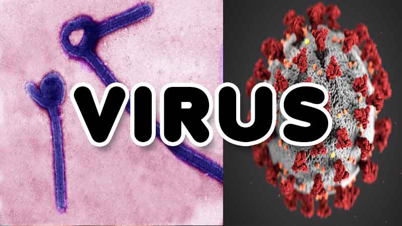 Russia doing research on making virus weapon more dangerous than Corona 88 percent people will die as soon as it spreads