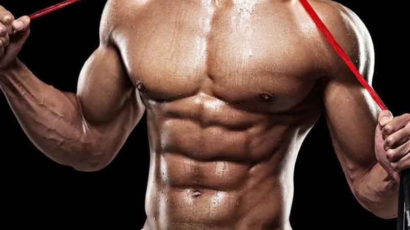 If you want to make six pack abs, then improve your diet with gym.