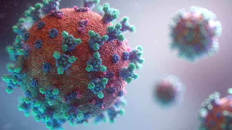 UN's big statement, said - Corona can become a seasonal disease if prolonged