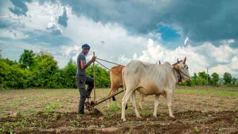 PM-KISAN scheme amount will not increase for farmers, government clarified