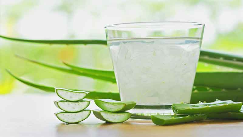 Consuming aloe vera juice daily in the morning increases immunity and reduces stress, know its benefits