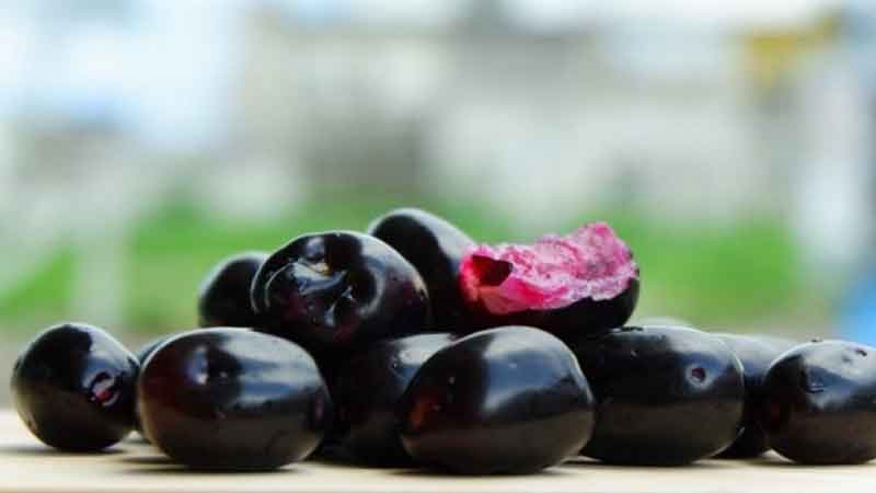 You will be surprised to know the benefits of berries, but you will save it