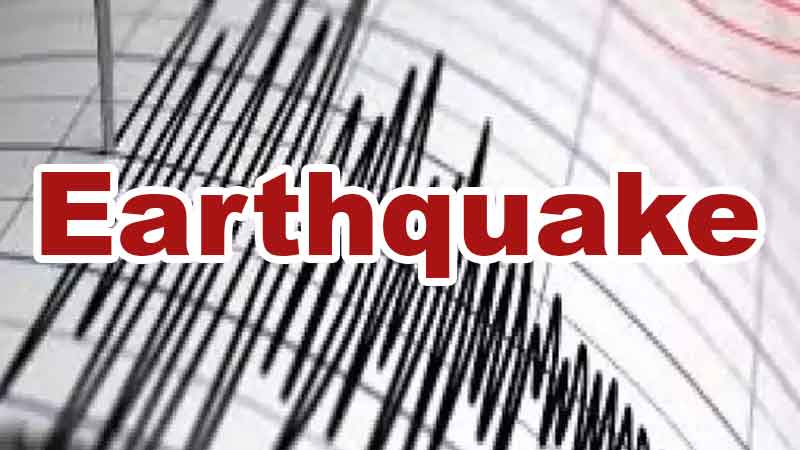 Earthquake tremors felt at Ukhrul in Manipur intensity 4.3 on the Richter scale; Know why earthquake comes
