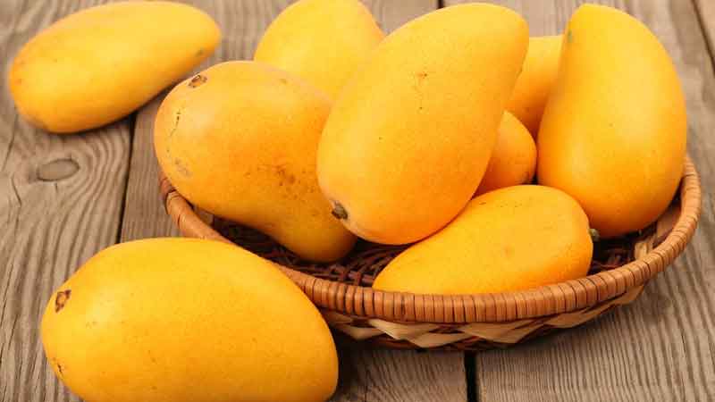 Mango the king of fruits is very beneficial for our health know its many benefits.