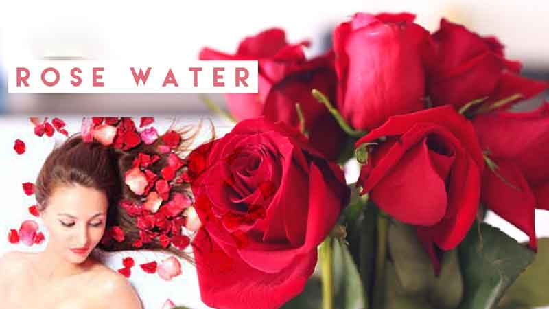 Prepare rose water and rose oil at home in beauty lock-down