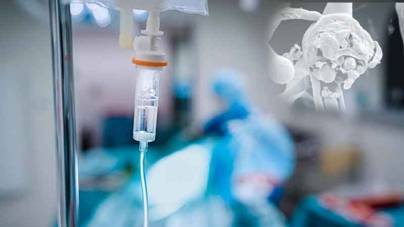 After white fungus, now white fungus increases concern, 4 patients found in Patna