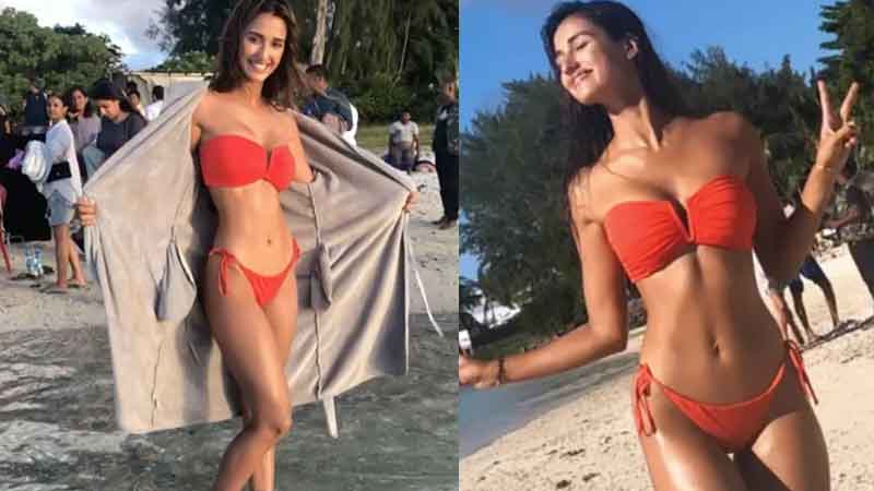 Happy Birthday Disha Patni: The journey of crores has been decided with 500 rupees read some special things related to her life