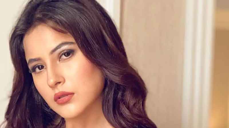 Shahnaz Gill shines in photoshoot, video goes viral