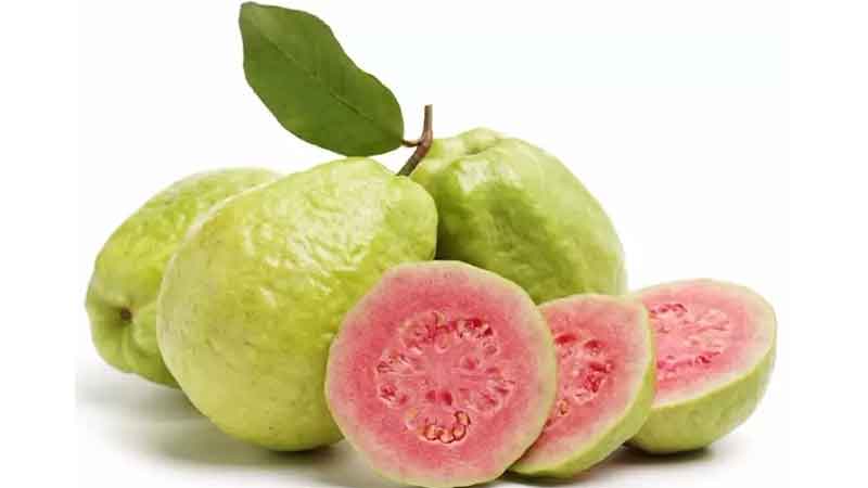 Guava is very beneficial in these diseases generate tremendous benefits