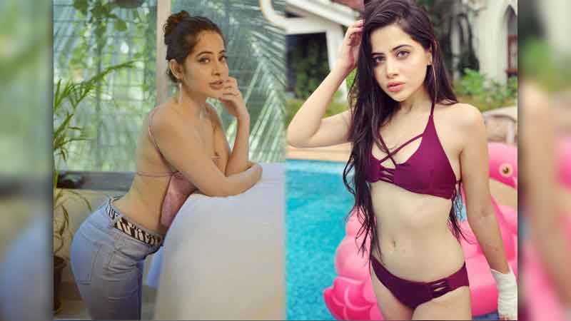 Bigg Boss contestant Urfi revealed, family members used to think of me as a porn actress...