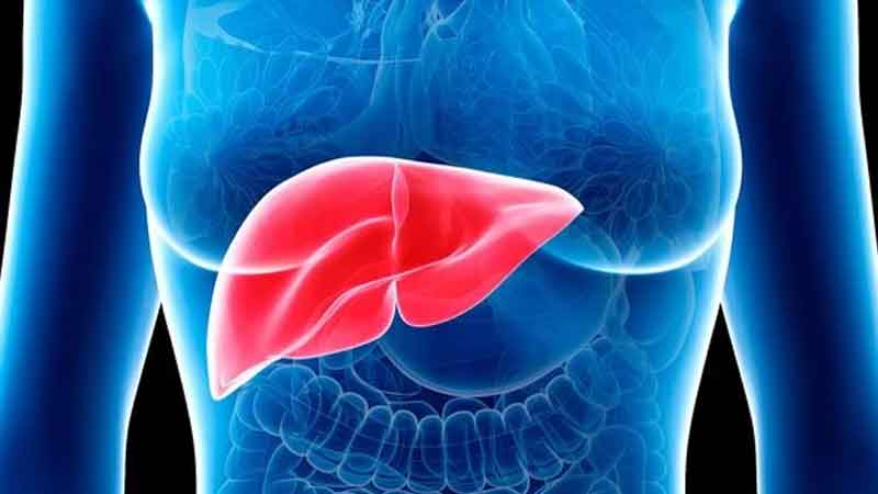 Increased risk of liver disease in children, hundreds of infected all over the world, know these 10 symptoms