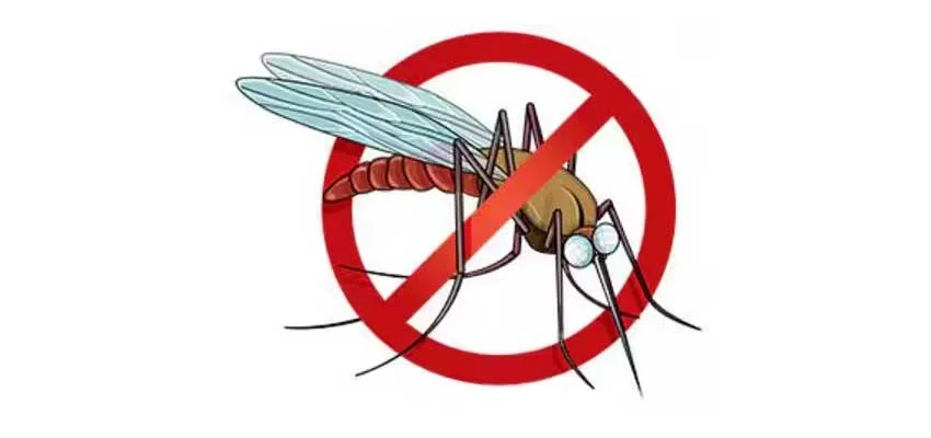 Anti-mosquito campaign going on in Indore with the help of 60 employees